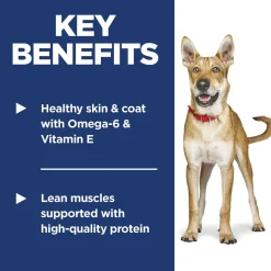 Lamb Meal & Brown Rice Recipe Adult Dog Food