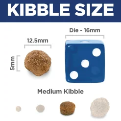 Lamb Meal & Brown Rice Recipe Adult Dog Food