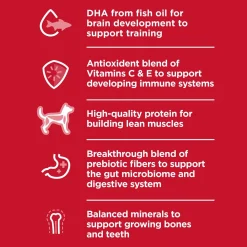 Lamb Meal & Brown Rice Recipe Large Breed Puppy Dog Food