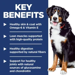 Lamb Meal & Brown Rice Recipe Large Breed Adult Dog Food