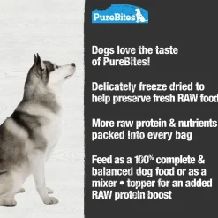 Lamb Recipe Dog Food