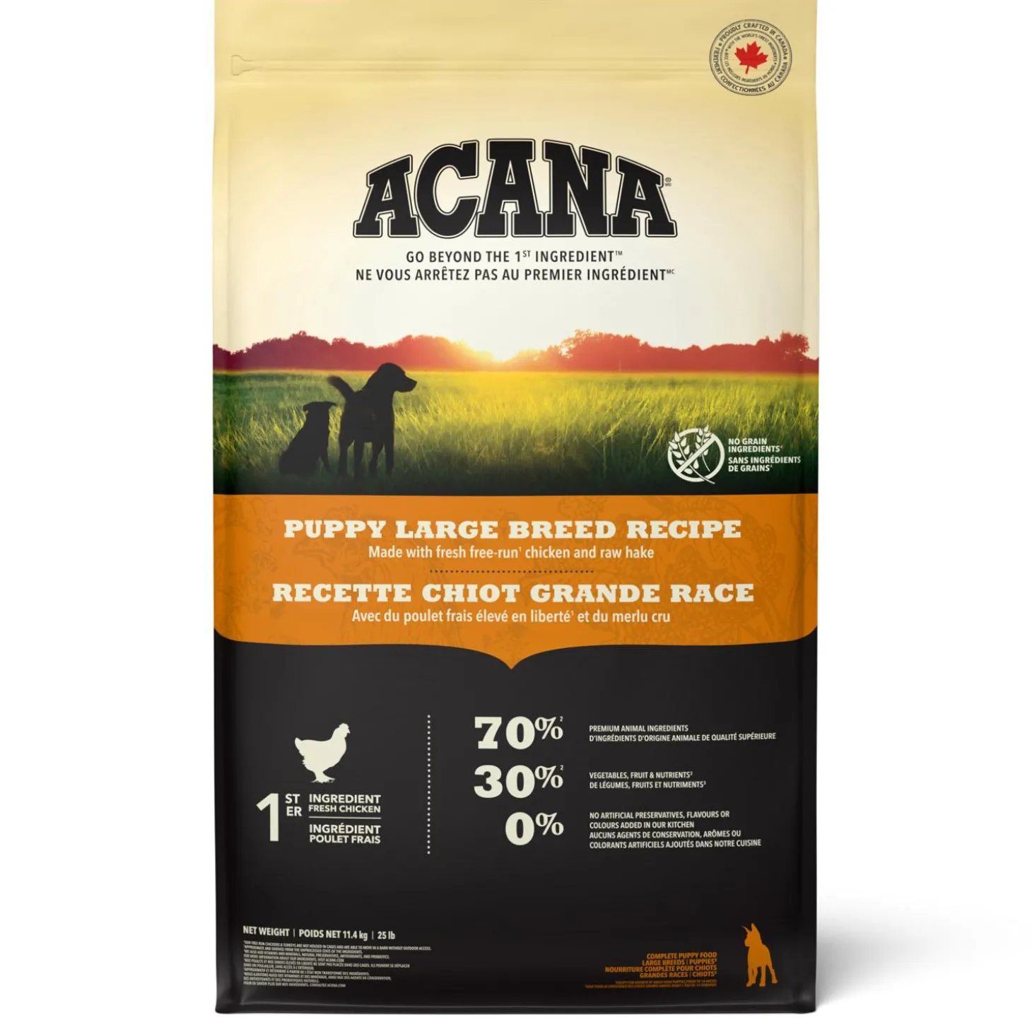 Large Breed Recipe Puppy Dog Food