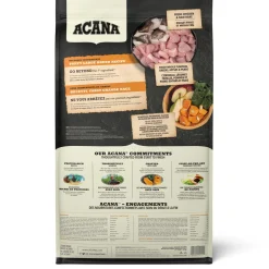 Large Breed Recipe Puppy Dog Food