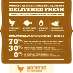 Large Breed Recipe Puppy Dog Food