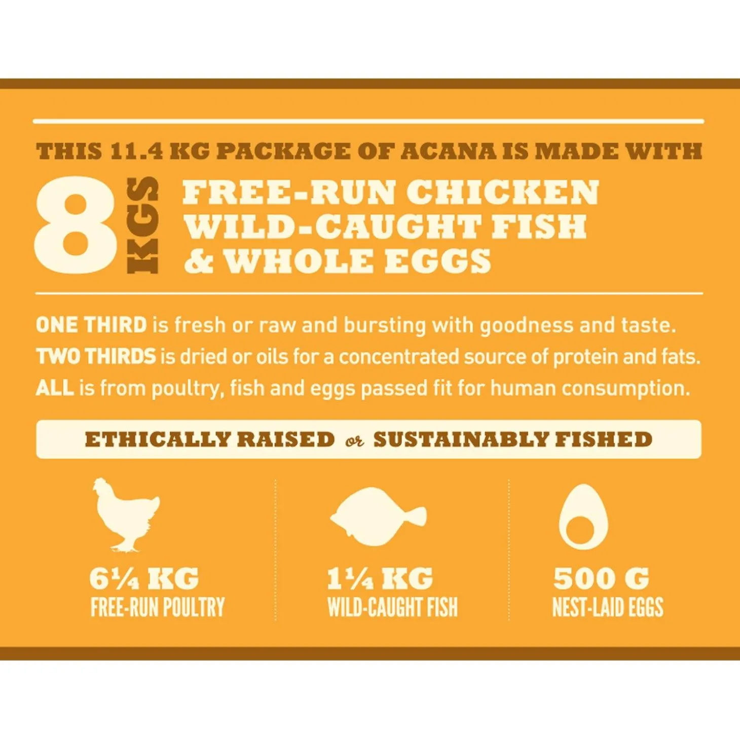 Large Breed Recipe Puppy Dog Food