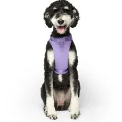 Lavender Neoprene Dog Harness