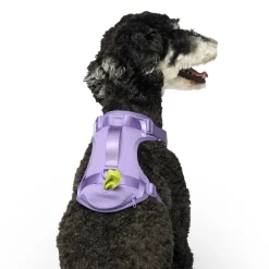 Lavender Neoprene Dog Harness