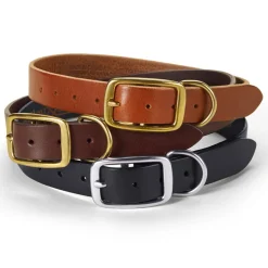 Leather Black Dog Collar