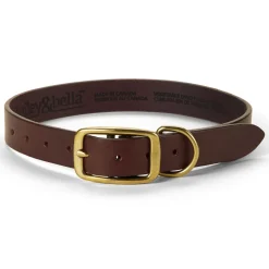 Leather Dark Brown Dog Collar
