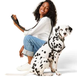 Leather 1in Black Dog Leash