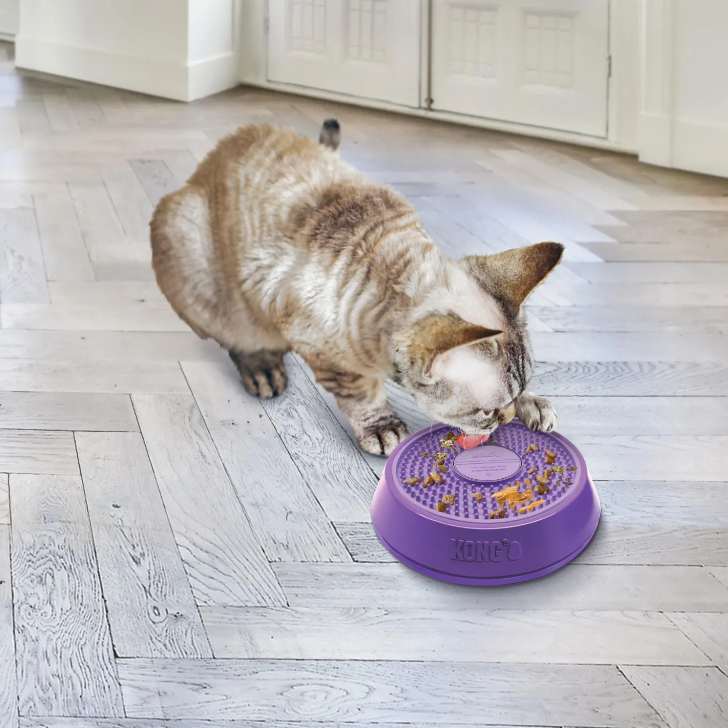Licks Spinz Dispenser Bowl