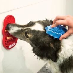 Licks Treat Dispenser