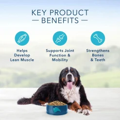 Life Protection Formula Beef & Brown Rice Recipe Adult Dog Food