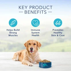 Life Protection Formula Lamb & Brown Rice Recipe Adult Dog Food