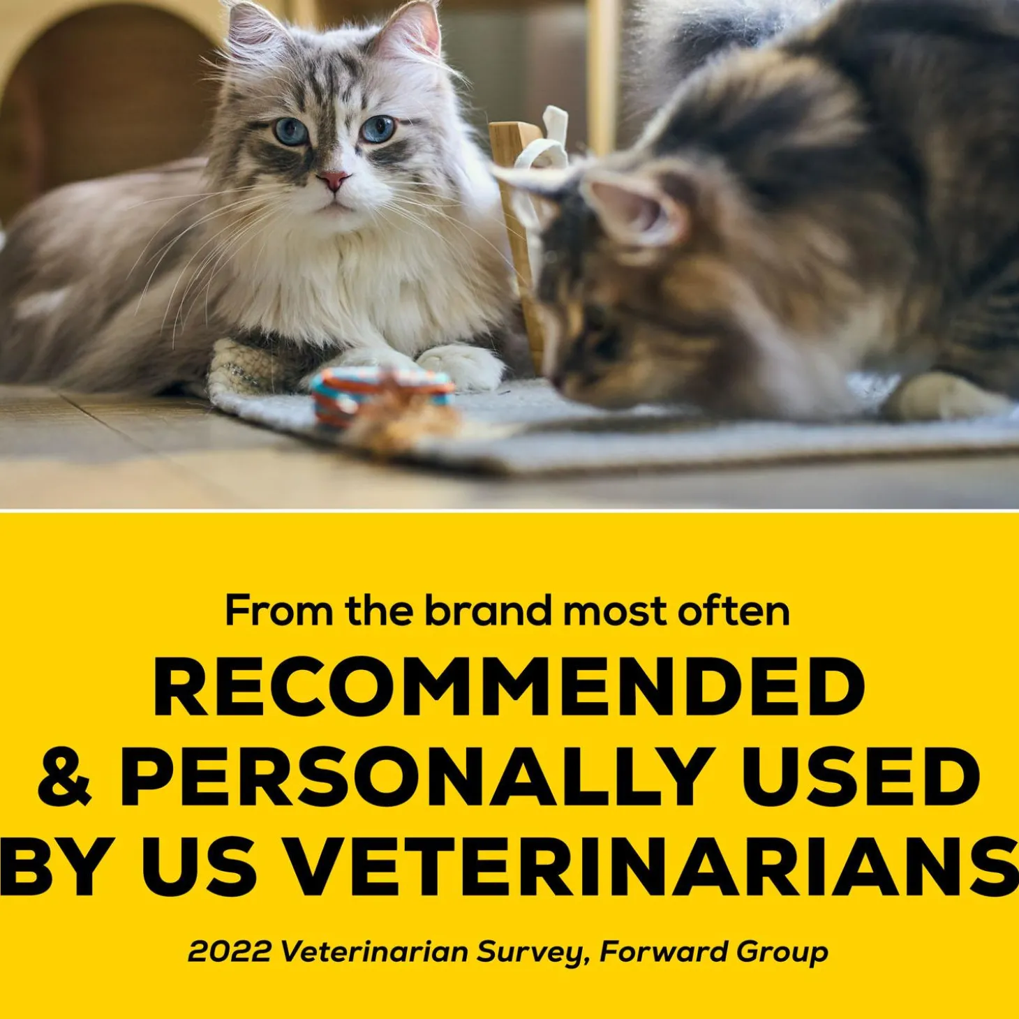 LightWeight 24/7 Performance Clumping Cat Litter