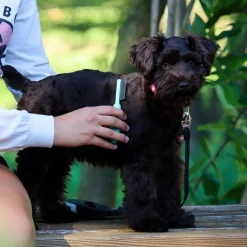 Li'l Pals Puppy Grooming Kit