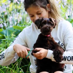 Li'l Pals Puppy Grooming Kit