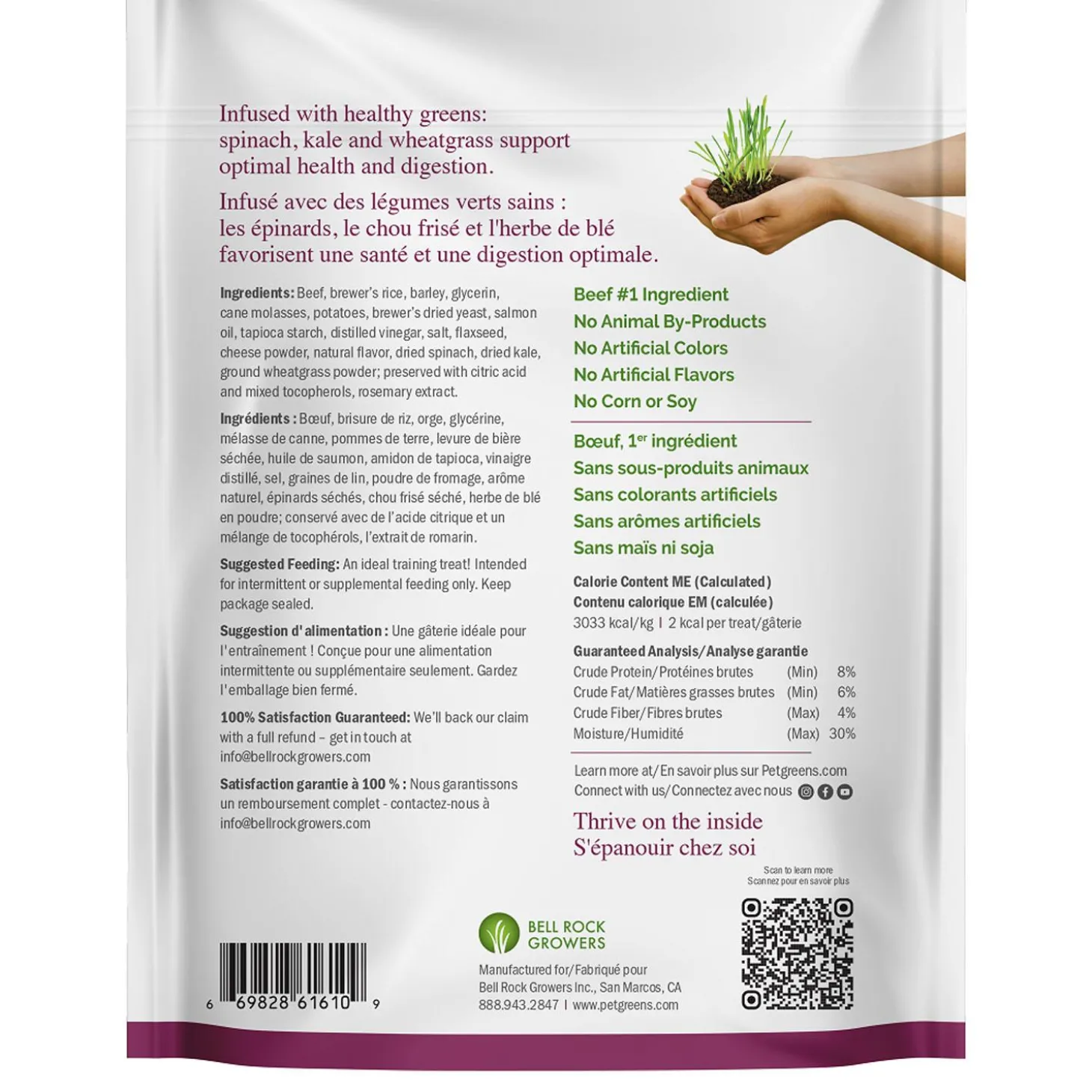 Li'l Treats Beef Recipe Dog Treats