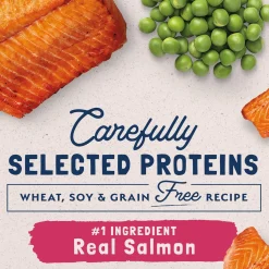 Limited Ingredient Salmon & Green Pea Formula Adult Cat Food