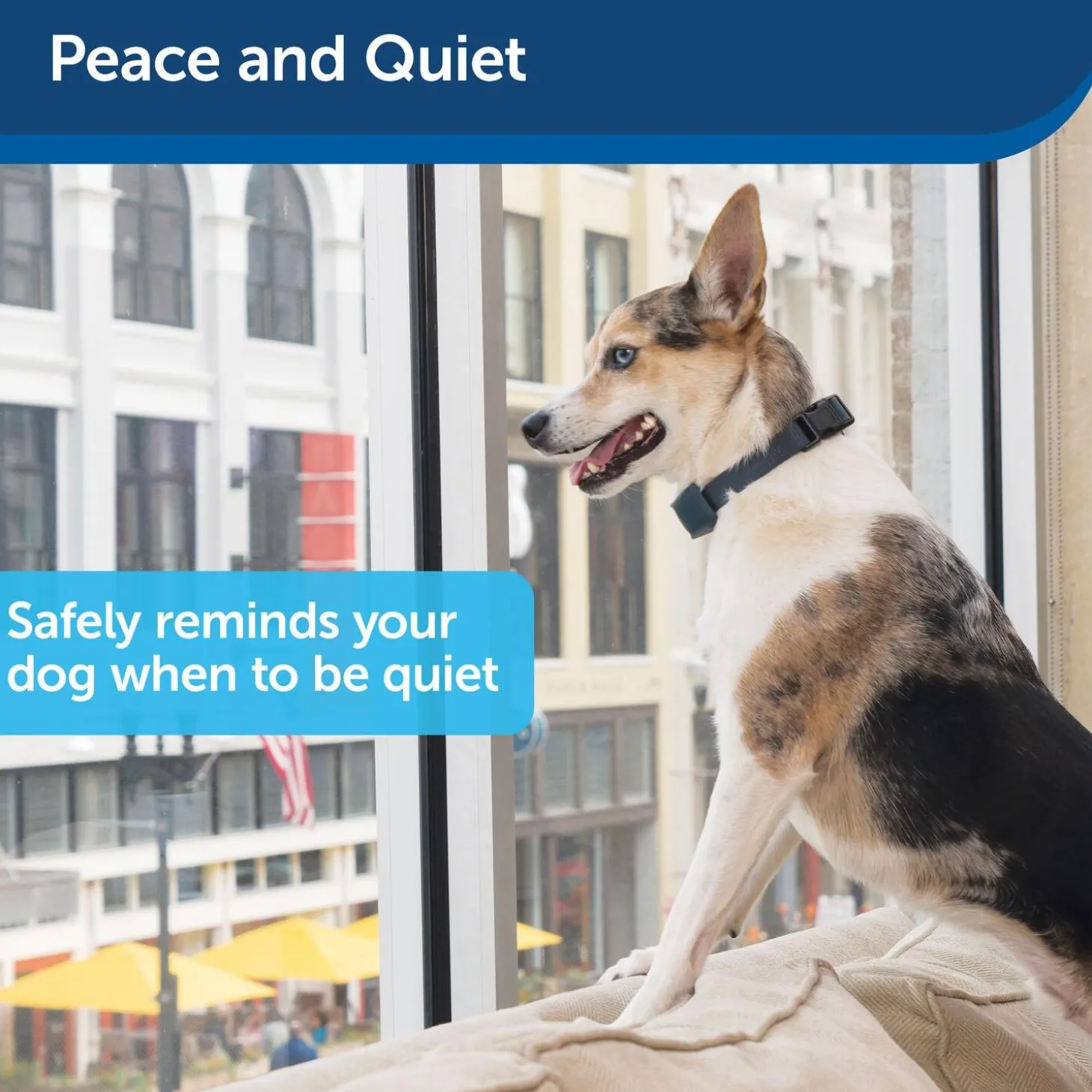 Lite Rechargeable Bark Control Dog Collar