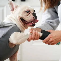 Lites All Seasons Green Dog Boots