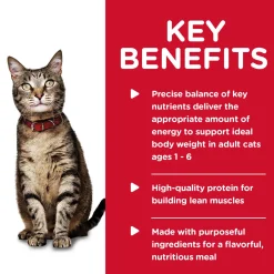 Liver & Chicken Entree Adult Cat Food