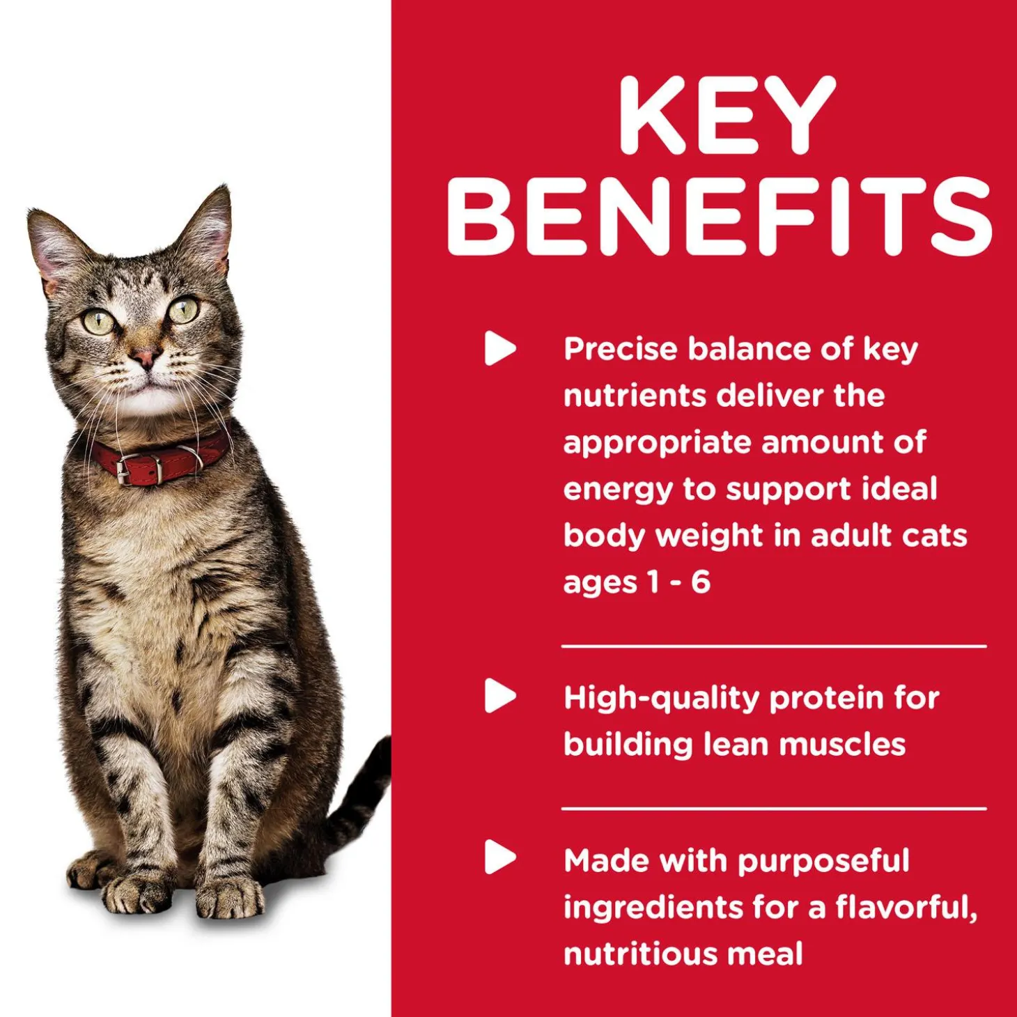 Liver & Chicken Entree Adult Cat Food