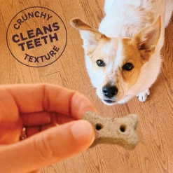 Liv'R'Crunch Mini Dog Treats