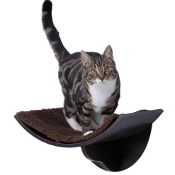 Lorena Espresso Wall Mount Perch