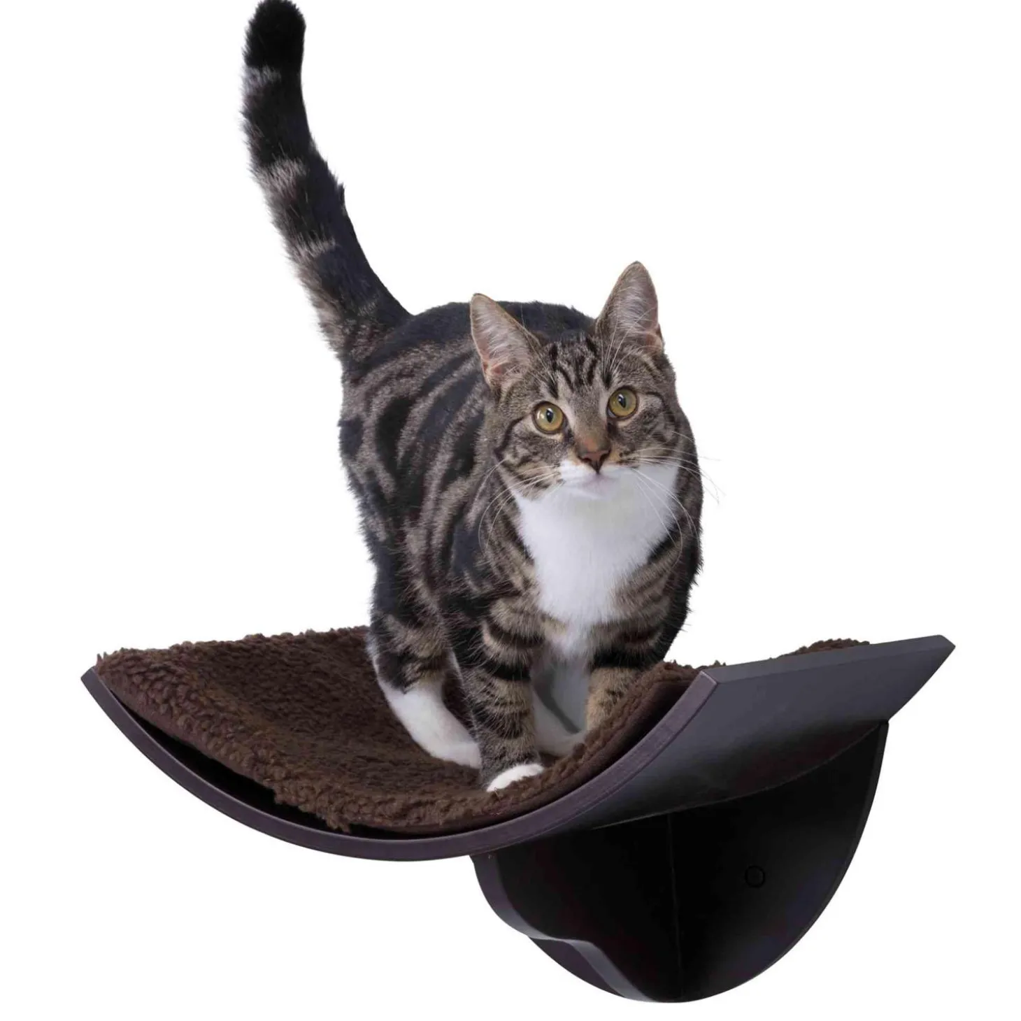 Lorena Espresso Wall Mount Perch