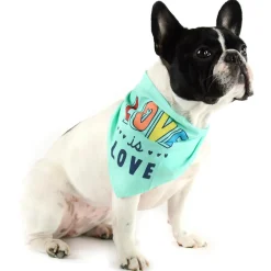 Love is Love Bandana Green