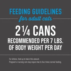 Luau Wild Salmon & Chicken Recipe in Chicken Consomme Cat Food