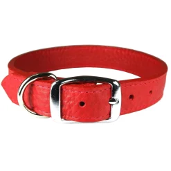 Luxe Leather Red Dog Collar