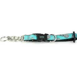 Martingale Teal Pineapple Dog Collar