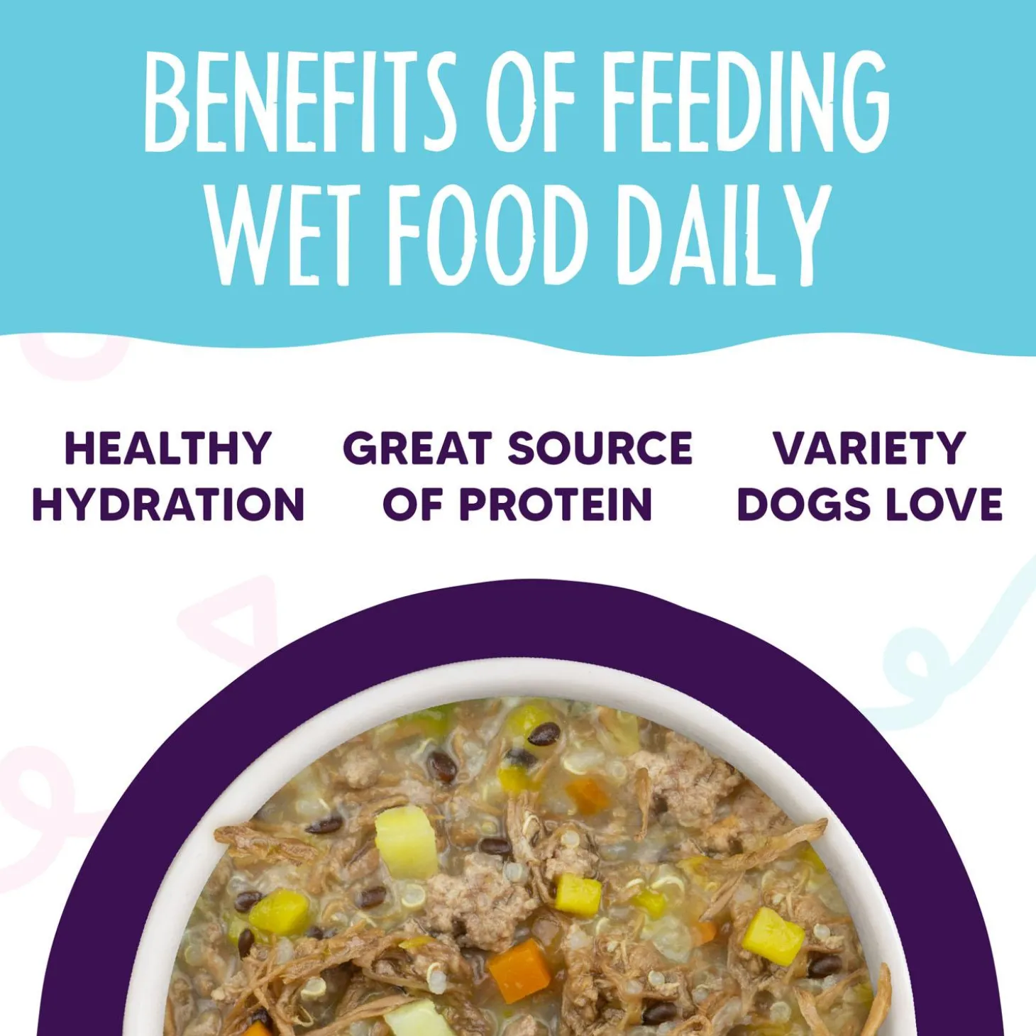 Meals 'n More Steak Frites Dinner Recipe Plus Dog Food