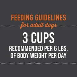 Meaty Chicken Recipe in Broth Dog Food