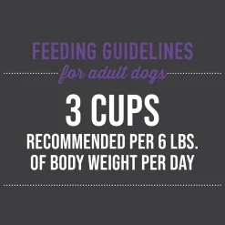 Meaty Chicken with Egg Recipe in Broth Dog Food