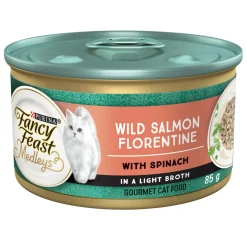 Medleys Wild Salmon Florentine Adult Cat Food