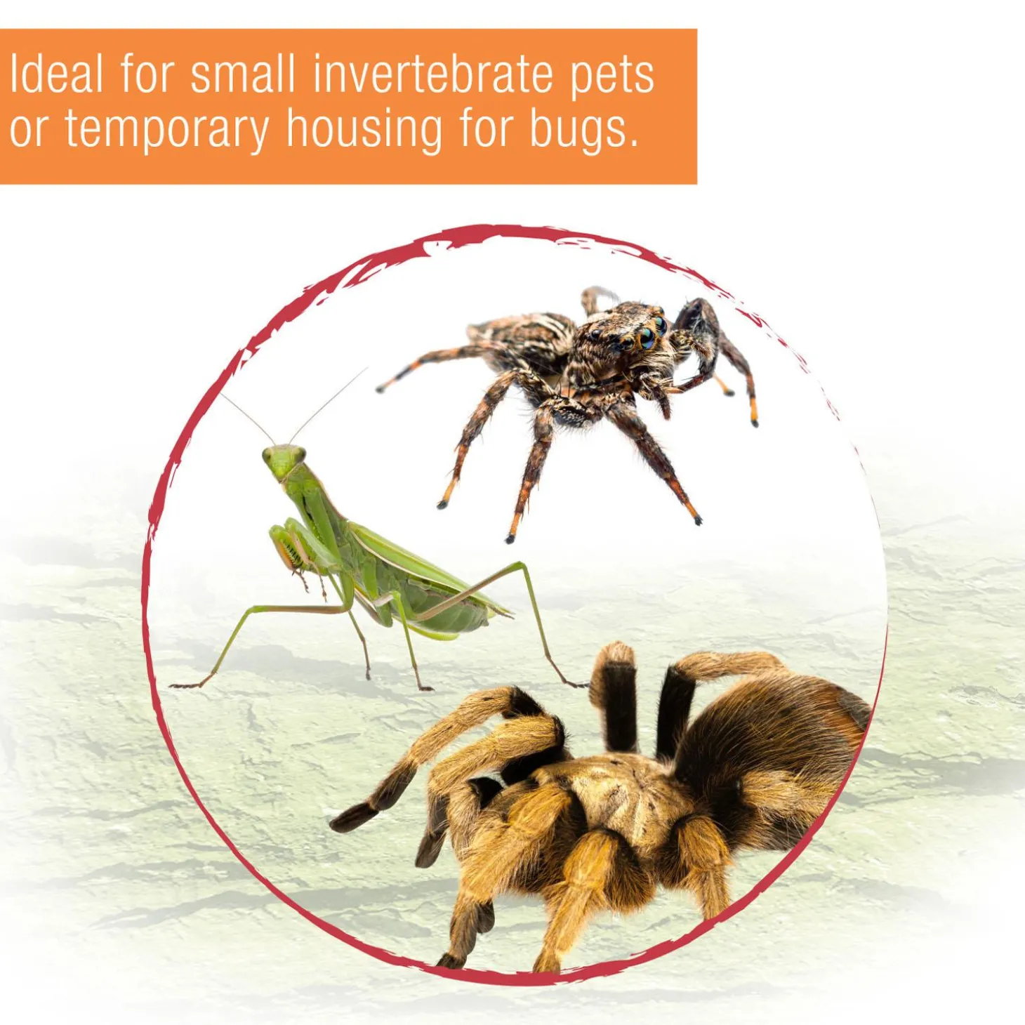 Micro Vertical Habitat