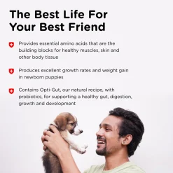 Milk Replacement Puppy Supplement