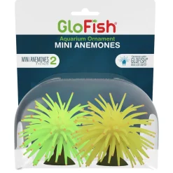 Mini Anemones Yellow and Green