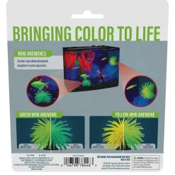 Mini Anemones Yellow and Green