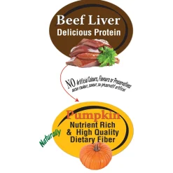 Mini Bits Beef Liver Plus Real Pumpkin Dog Treats