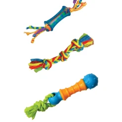 Mini Dental Chews Dog Toys