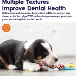 Mini Dental Chews Dog Toys