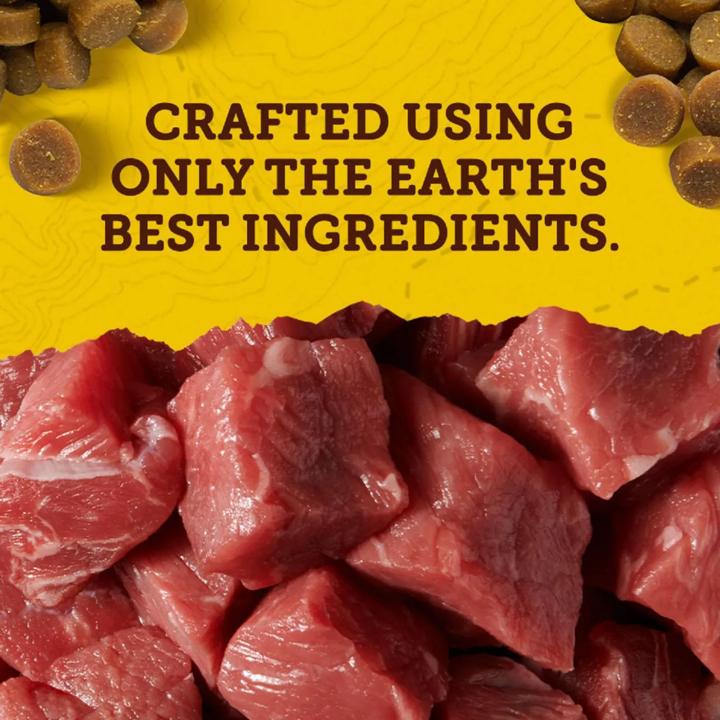 Mini Naturals Beef Recipe Dog Treats