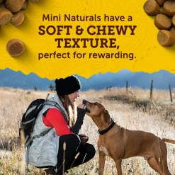 Mini Naturals Salmon Recipe Dog Treats