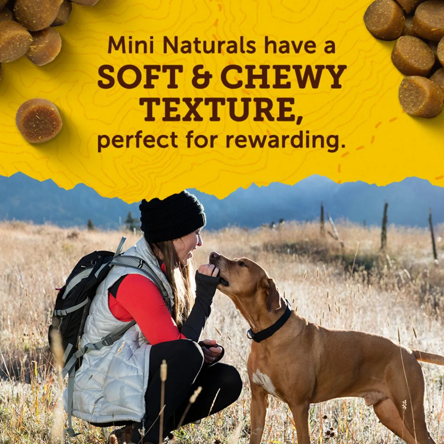 Mini Naturals Salmon Recipe Dog Treats