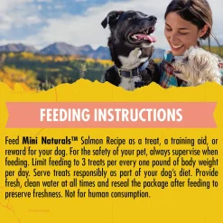 Mini Naturals Salmon Recipe Dog Treats