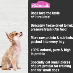 Mini Trainers Wild-Caught Salmon Dog Treats